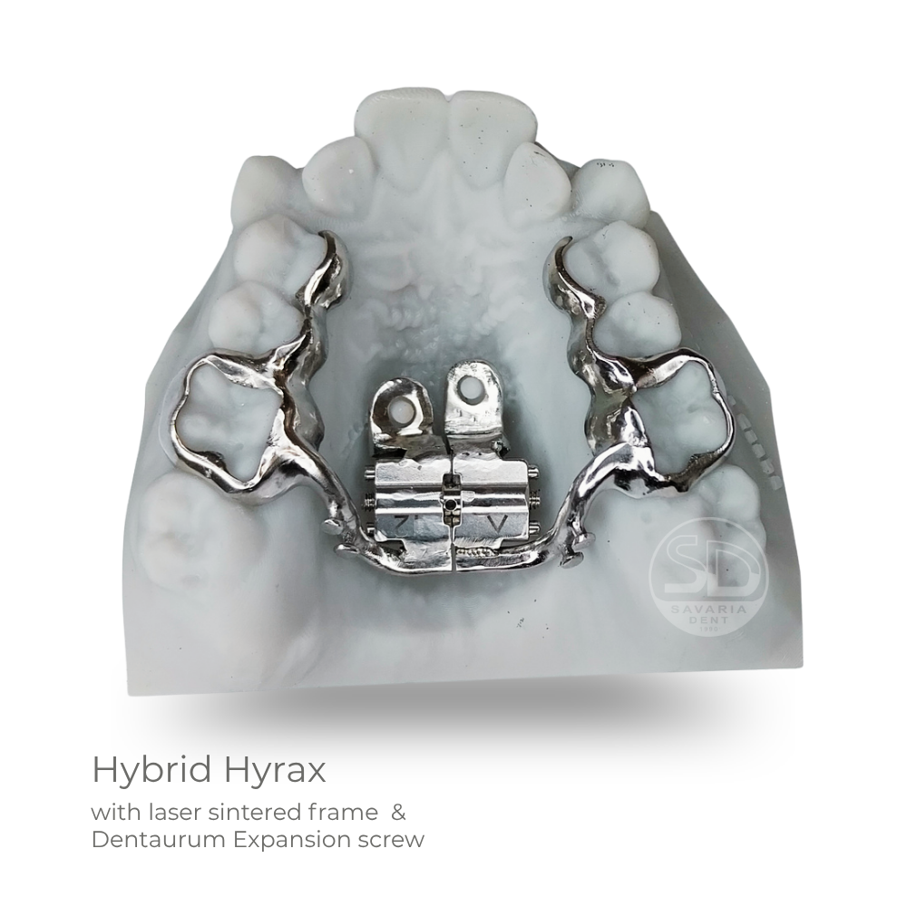 Hybrid Hyrax - 11