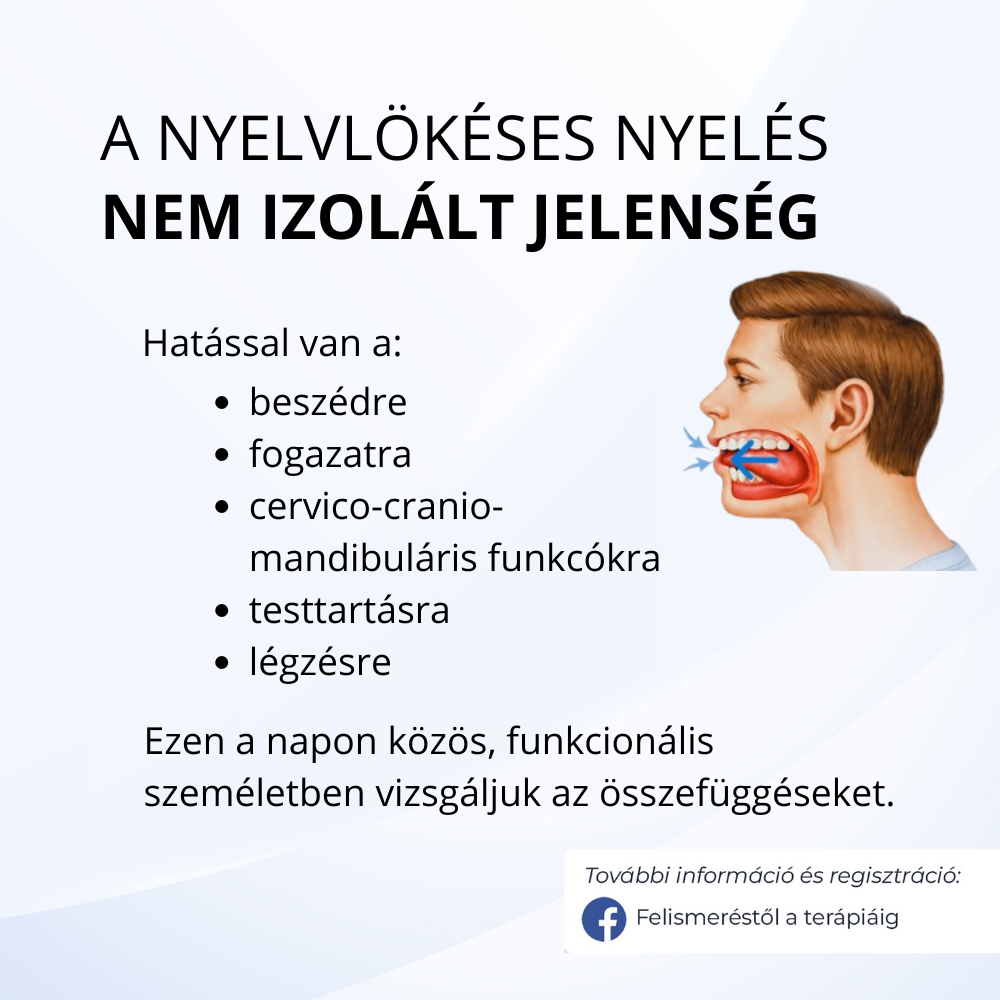 Felismeréstől a terápiáig - 3